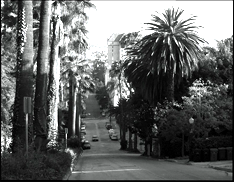 Whitley Heights Photo
